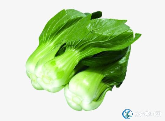 青菜图片