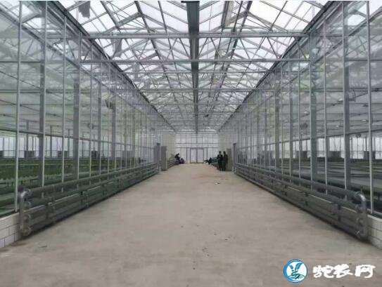 新型温室大棚