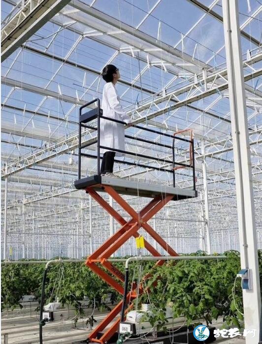 新型温室大棚