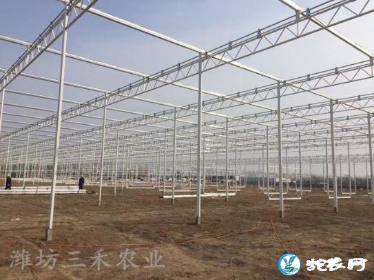 新型温室大棚