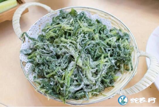 面条菜是什么植物?农村麦田里的“油瓶菜”有什么功效?