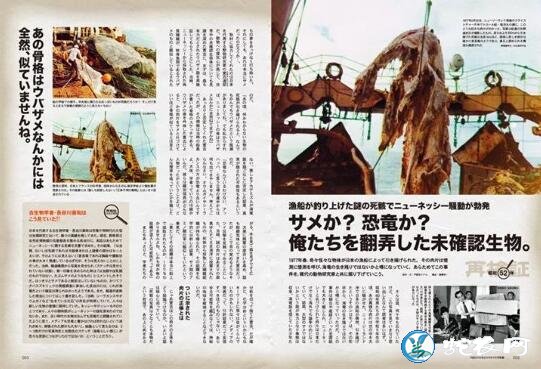 日本1977年海怪尸体事件