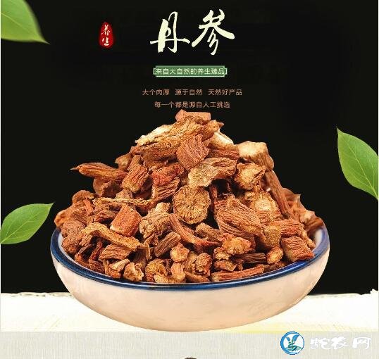 丹参的功效与作用
