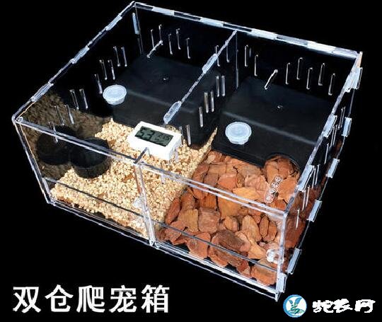 玉米蛇用哪种饲养箱好