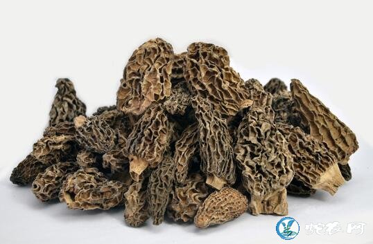 羊肚菌的功效
