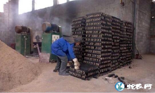 适合在乡镇开的加工厂
