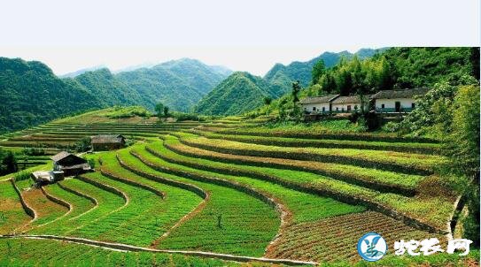 农村“三块地”改革为啥再延期？看看你家有没有这样的地！