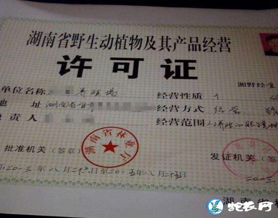 菜花蛇是省级保护动物!养殖需要办什么手续呢?