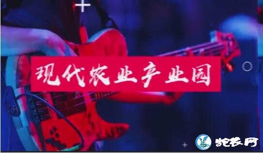 宣城市“洪林首届虾稻丰收节”燃情六月!罗念念虾稻轮作专业合作社引领核心示范区!