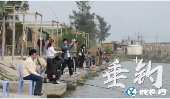 宣城市“洪林首届虾稻丰收节”燃情六月!罗念念虾稻轮作专业合作社引领核心示范区!