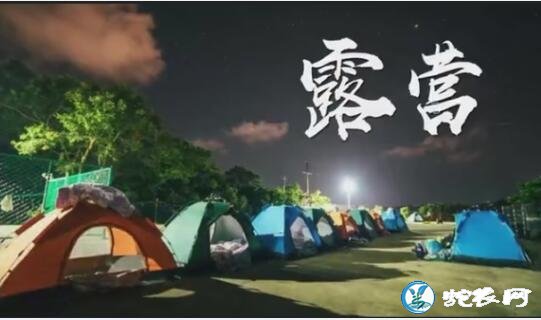 宣城市“洪林首届虾稻丰收节”燃情六月!罗念念虾稻轮作专业合作社引领核心示范区!