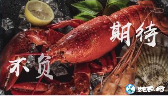 宣城市“洪林首届虾稻丰收节”燃情六月!罗念念虾稻轮作专业合作社引领核心示范区!