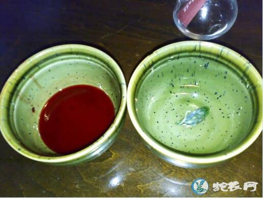 蛇血蛇胆泡酒可以喝吗?