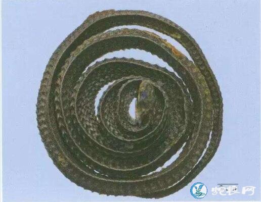 2019年5月今日蛇干价格、现在各种蛇干多少钱一斤?