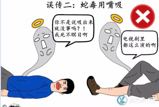 人被毒蛇咬伤用蚂蟥可以吸蛇毒?
