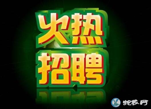 养蛇场招聘