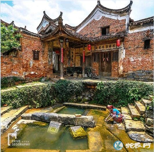 异蛇图片、捕蛇者说中的永州异蛇图片!