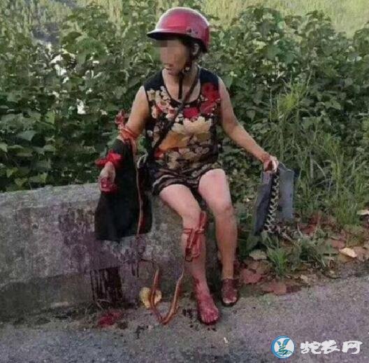异蛇图片、捕蛇者说中的永州异蛇图片!