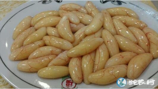 蛇蛋怎么烹调?