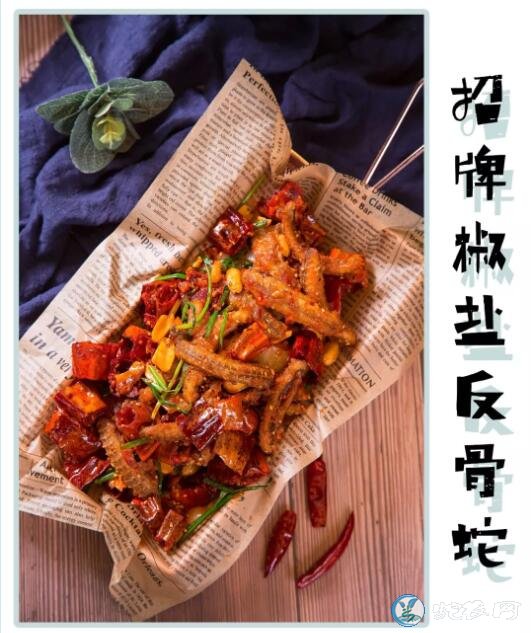上海蛇餐馆-20年前风靡上海的蛇菜店重现料理界!