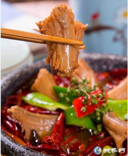 上海蛇餐馆-20年前风靡上海的蛇菜店重现料理界!
