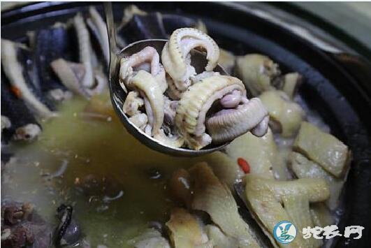吃蛇后为何不能吃绿豆？吃蛇肉禁忌可靠吗？