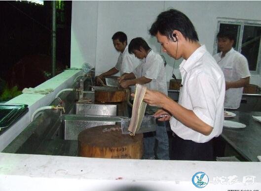 实拍美味五步蛇大餐制作全过程、五步蛇是这样爬上餐桌的!