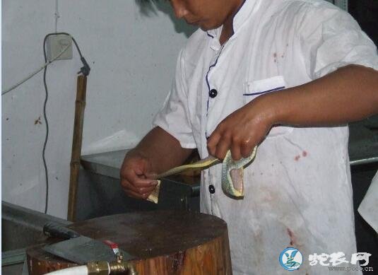 实拍美味五步蛇大餐制作全过程、五步蛇是这样爬上餐桌的!