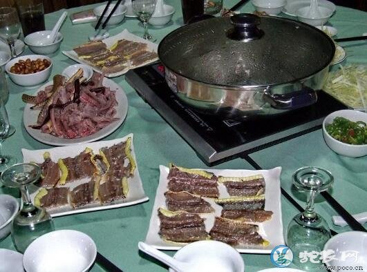实拍美味五步蛇大餐制作全过程、五步蛇是这样爬上餐桌的!