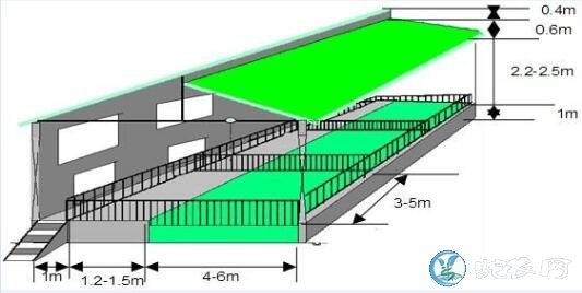 养猪大棚建设