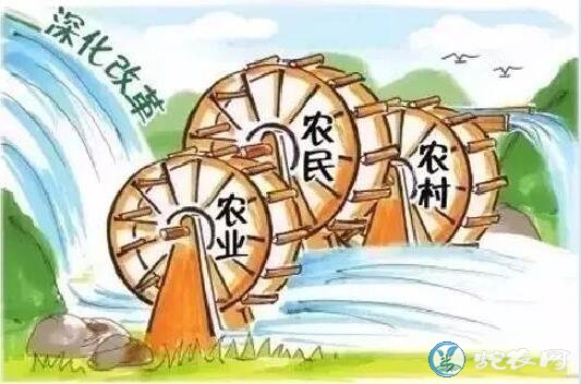 农村“三块地”改革为啥再延期?