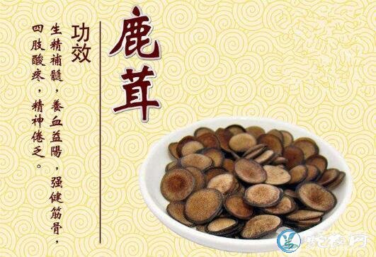 鹿茸价格