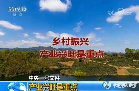 我国加快打造农村产业融合发展新高地