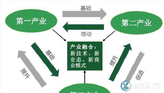 我国加快打造农村产业融合发展新高地