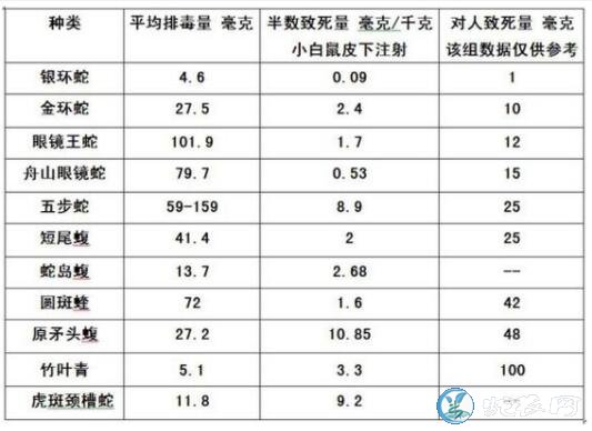 五步蛇和圆斑蝰蛇谁厉害