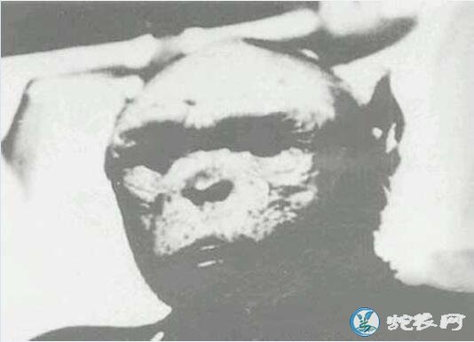 揭秘:1907年外国人在准格尔考察发现了野人真实事件!