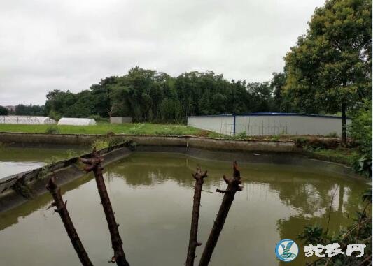 雷村蛇场湖南加盟基地第一期工程建成，7月份养蛇培训在益阳加盟基地开班