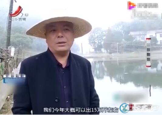 泥鳅养殖怎么样