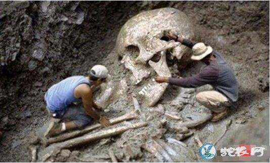 1921年北京西城8具3米高史前人类骨骼事件揭秘