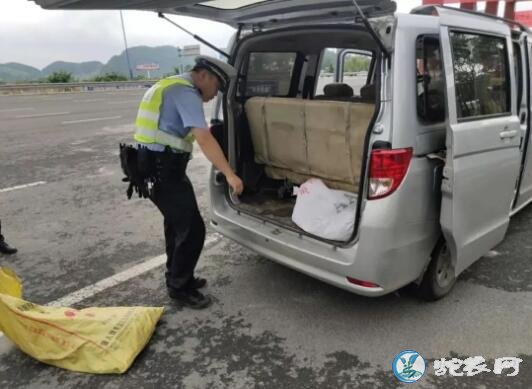 老司机“做贼心虚”!黔南警方意外查获300斤野生活蛇!