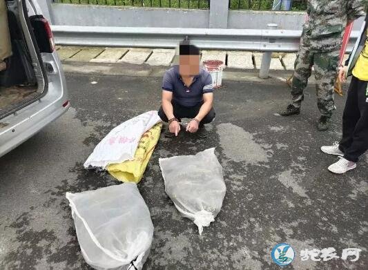 老司机“做贼心虚”!黔南警方意外查获300斤野生活蛇!
