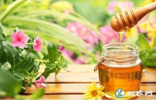 蜂蜜的作用与功效？喝蜂蜜需要注意哪些禁忌！