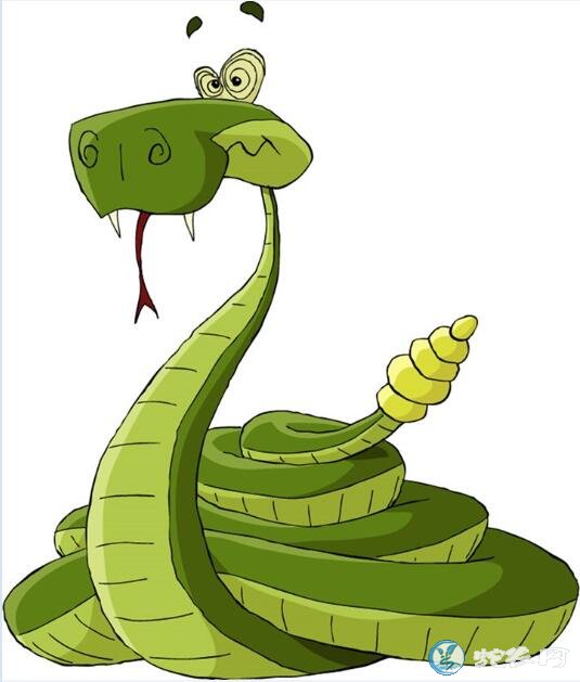 蛇漫画图片