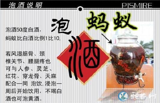 黑蚂蚁泡酒有什么功效