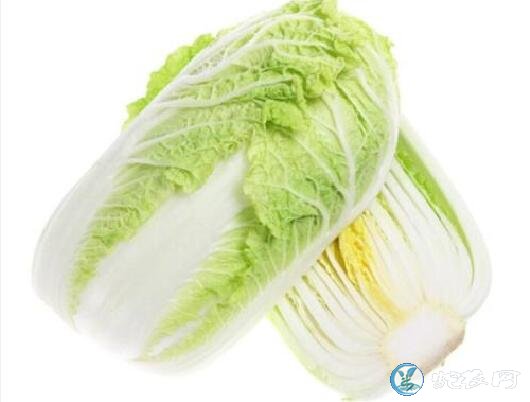 大白菜