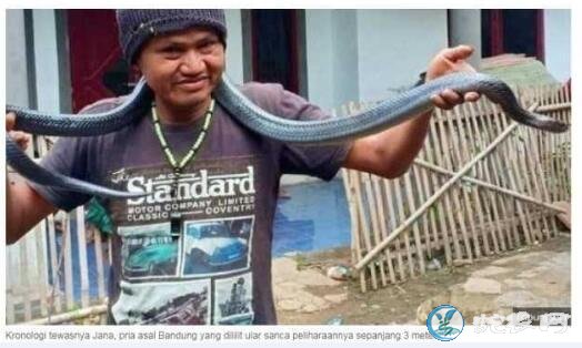 印尼男子给长3米重17公斤巨蟒洗澡被勒死
