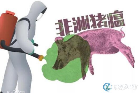 广西贵港市港北区排查出非洲猪瘟疫情