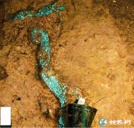 河南发现夏朝时代的“松石龙”！还有4200年前的盗墓贼留下的盗洞！