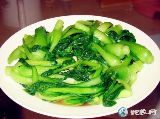 青菜