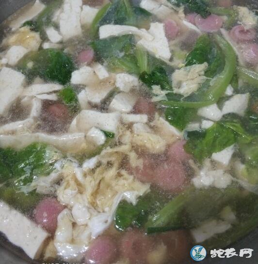 蔬菜汤